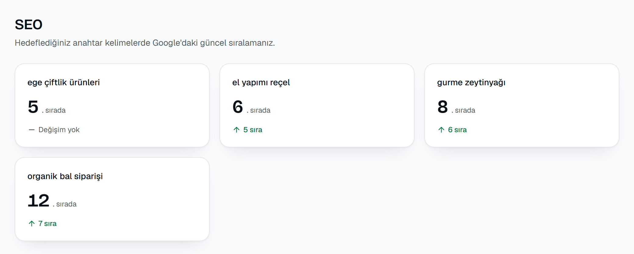 SEO — Ivmefy panel görünümü