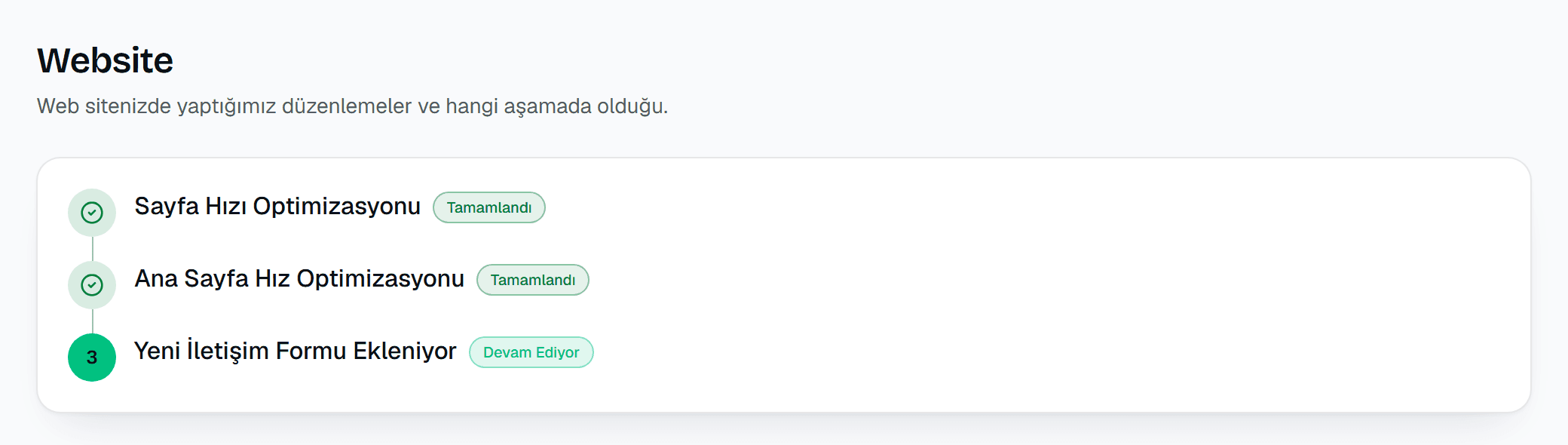 Website — Ivmefy panel görünümü