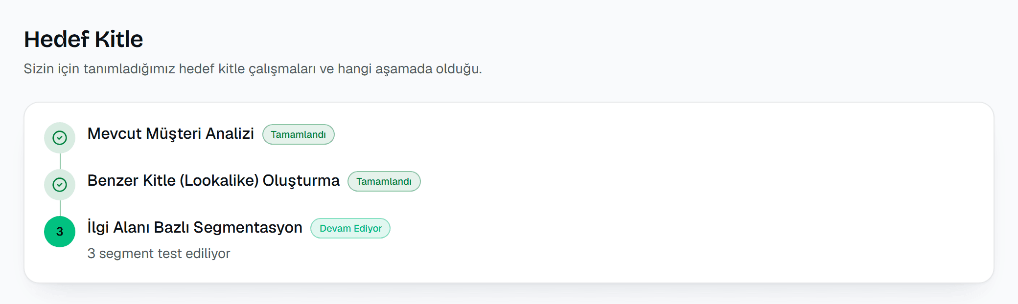 Hedef Kitle — Ivmefy panel görünümü